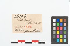 Etikett zu Bronzedrahtgürtelhaken (NHMW-PRAE-026106)